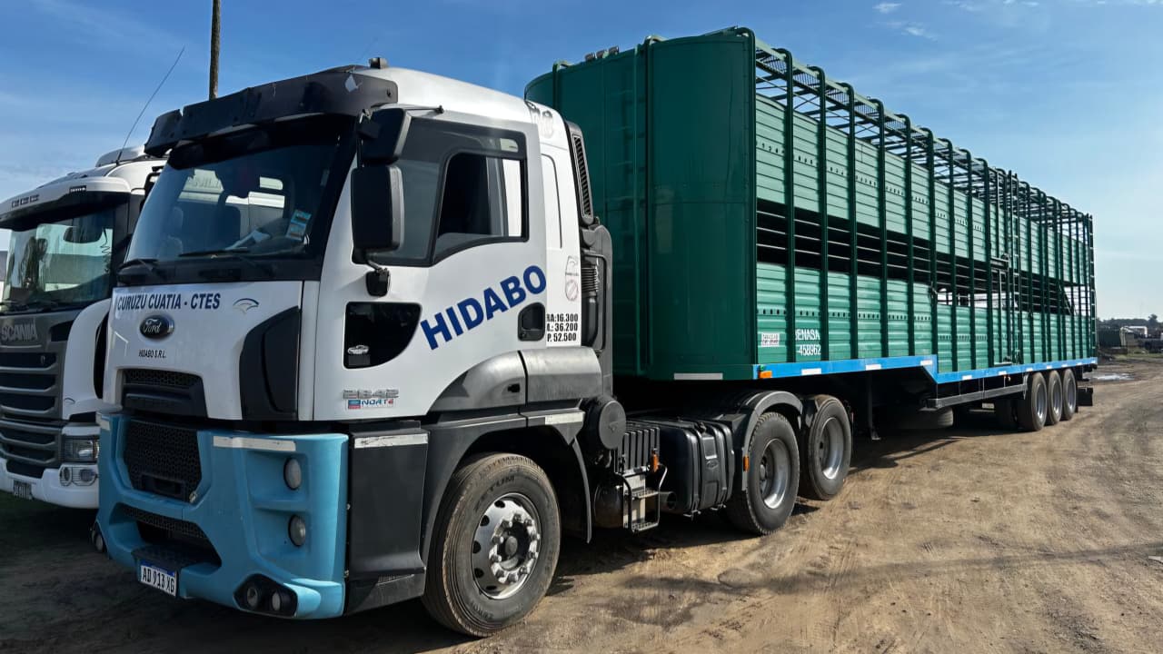 Camión jaula Hidabo para transporte de ganado bovino